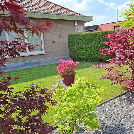 B&B Sogni D'Oro Lovendegem Exteriér fotografie
