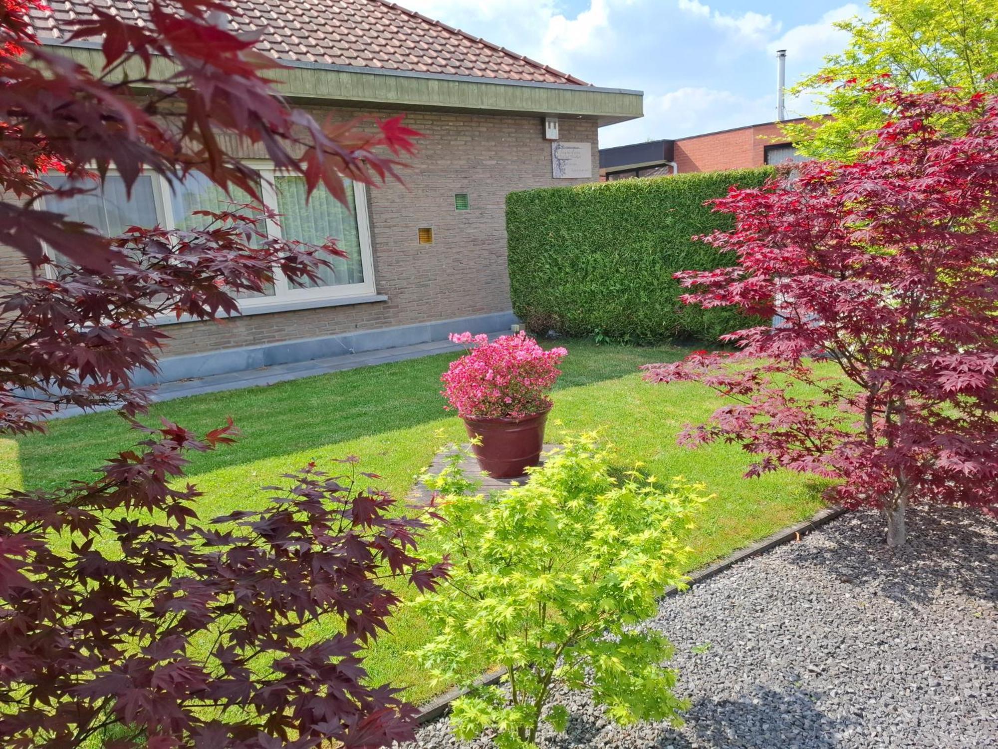 B&B Sogni D'Oro Lovendegem Exteriér fotografie